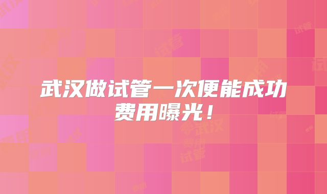 武汉做试管一次便能成功费用曝光！