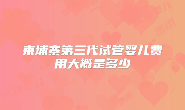柬埔寨第三代试管婴儿费用大概是多少