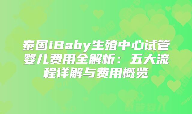 泰国iBaby生殖中心试管婴儿费用全解析:五大流程详解与费用概览