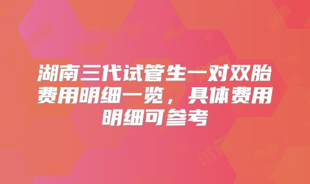 湖南三代试管生一对双胎费用明细一览，具体费用明细可参考