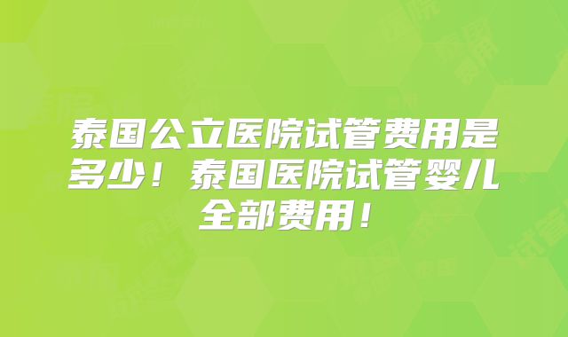 泰国公立医院试管费用是多少！泰国医院试管婴儿全部费用！