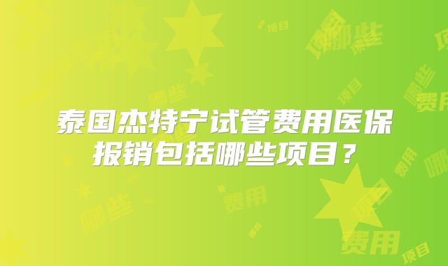 泰国杰特宁试管费用医保报销包括哪些项目?
