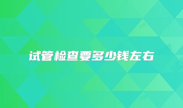 试管检查要多少钱左右