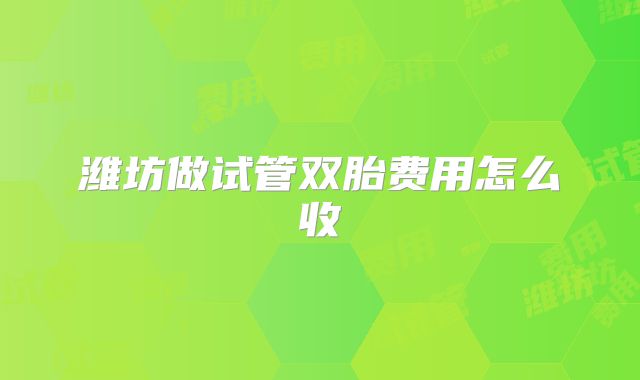 潍坊做试管双胎费用怎么收