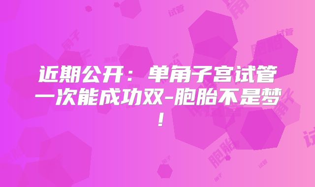 近期公开:单角子宫试管一次能成功双-胞胎不是梦!