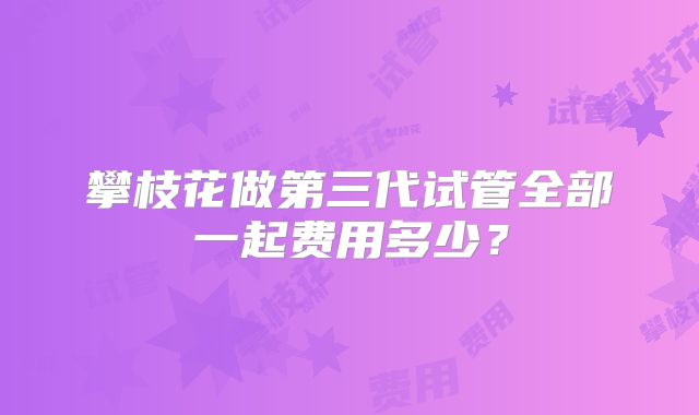 攀枝花做第三代试管全部一起费用多少？