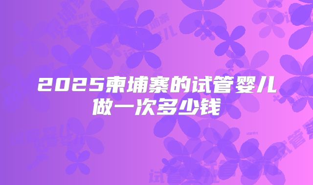 2025柬埔寨的试管婴儿做一次多少钱