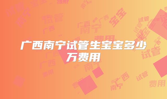 广西南宁试管生宝宝多少万费用