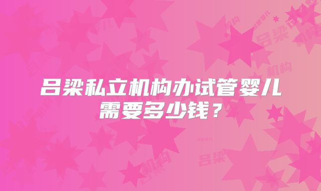 吕梁私立机构办试管婴儿需要多少钱？