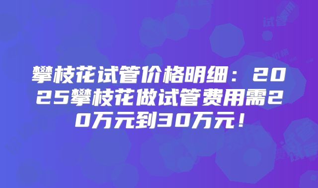 攀枝花试管价格明细：2025攀枝花做试管费用需20万元到30万元！