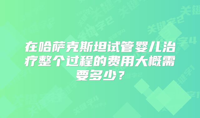 在哈萨克斯坦试管婴儿治疗整个过程的费用大概需要多少？
