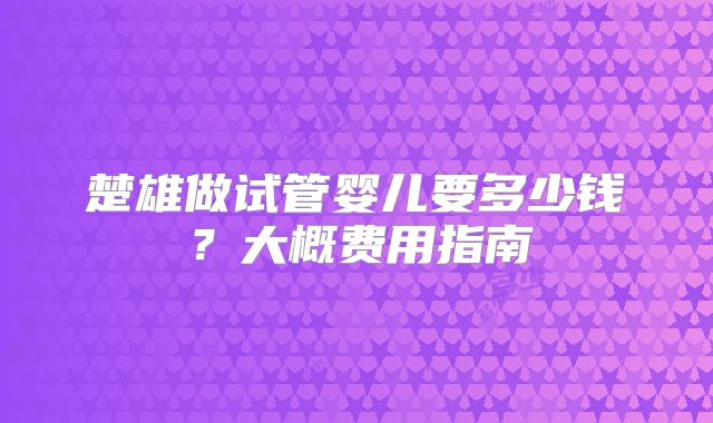 楚雄做试管婴儿要多少钱?大概费用指南