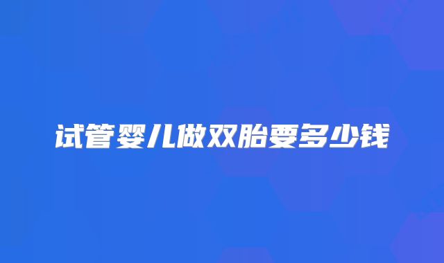 试管婴儿做双胎要多少钱
