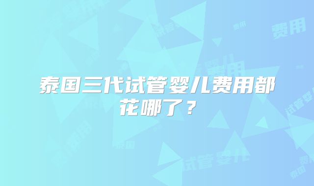 泰国三代试管婴儿费用都花哪了?