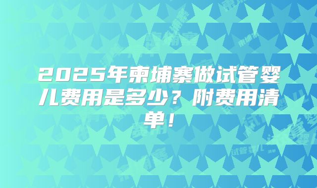 2025年柬埔寨做试管婴儿费用是多少？附费用清单！