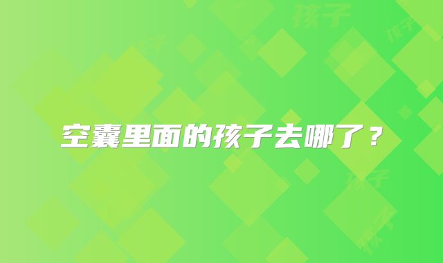 空囊里面的孩子去哪了？