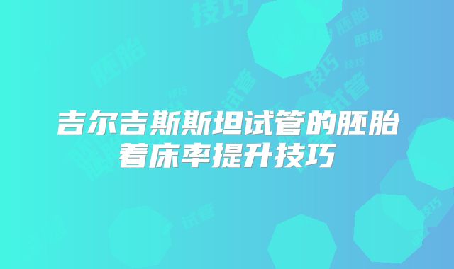 吉尔吉斯斯坦试管的胚胎着床率提升技巧​