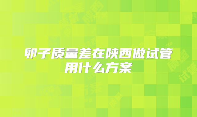卵子质量差在陕西做试管用什么方案