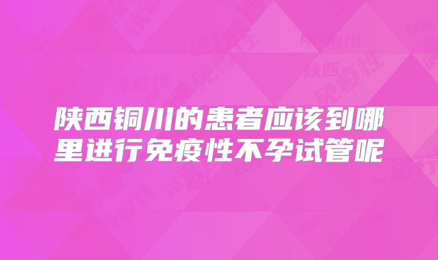陕西铜川的患者应该到哪里进行免疫性不孕试管呢