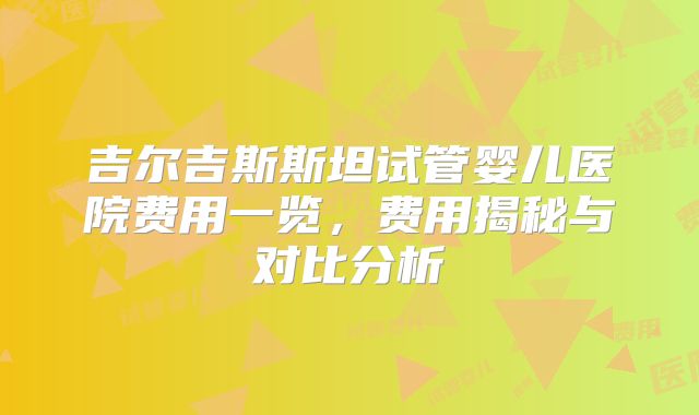 吉尔吉斯斯坦试管婴儿医院费用一览,费用揭秘与对比分析