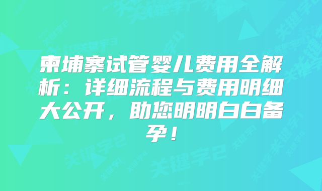 柬埔寨试管婴儿费用全解析:详细流程与费用明细大公开,助您明明白白备孕!