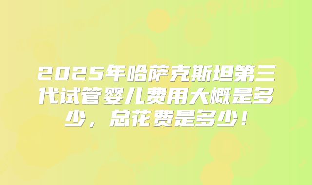2025年哈萨克斯坦第三代试管婴儿费用大概是多少,总花费是多少!