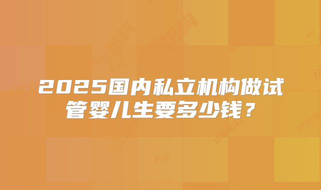 2025国内私立机构做试管婴儿生要多少钱?