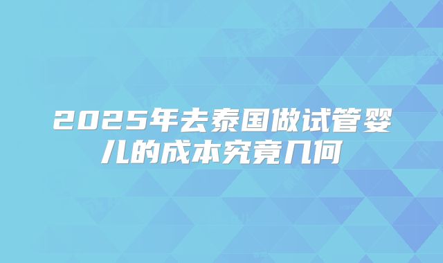 2025年去泰国做试管婴儿的成本究竟几何