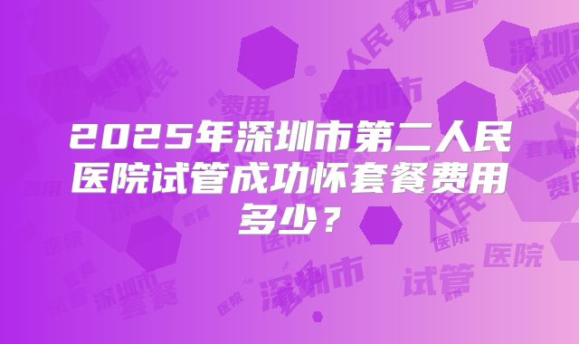 2025年深圳市第二人民医院试管成功怀套餐费用多少？
