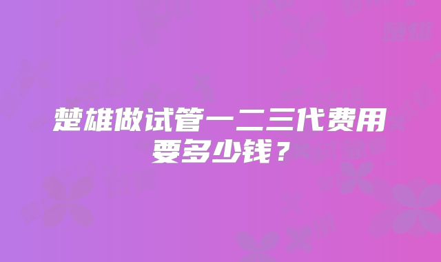 楚雄做试管一二三代费用要多少钱?