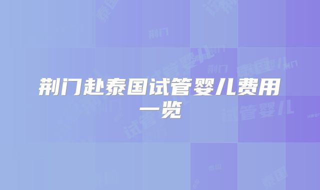 荆门赴泰国试管婴儿费用一览