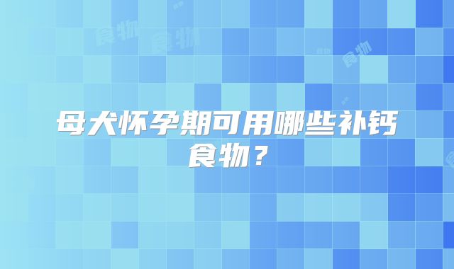 母犬怀孕期可用哪些补钙食物?