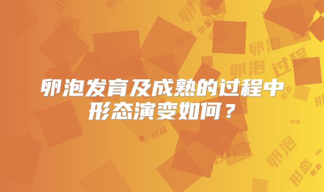 卵泡发育及成熟的过程中形态演变如何?