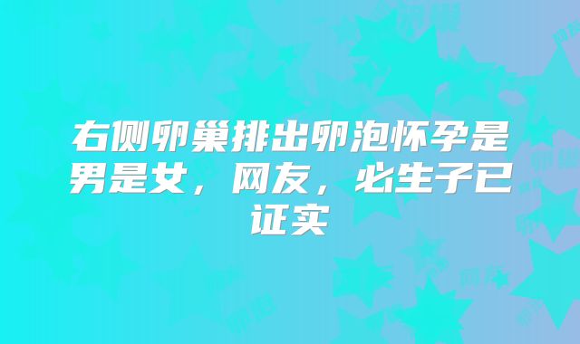右侧卵巢排出卵泡怀孕是男是女,网友,必生子已证实