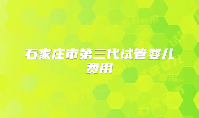 石家庄市第三代试管婴儿费用