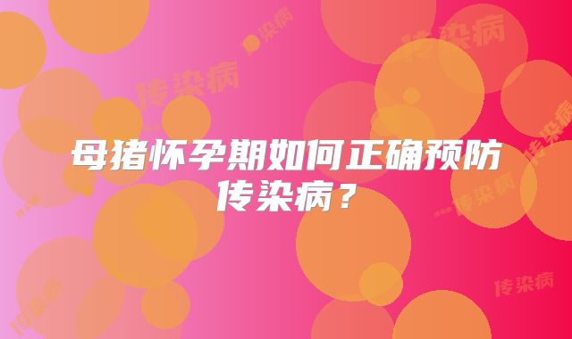 母猪怀孕期如何正确预防传染病？