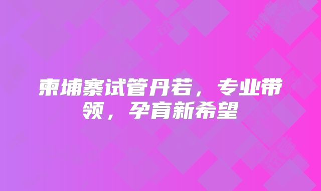 柬埔寨试管丹若，专业带领，孕育新希望