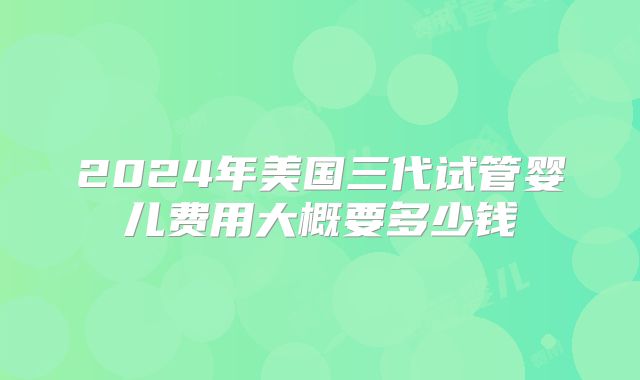 2024年美国三代试管婴儿费用大概要多少钱