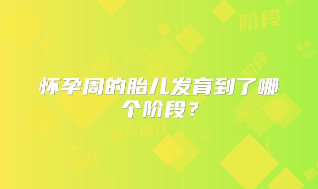 怀孕周的胎儿发育到了哪个阶段？
