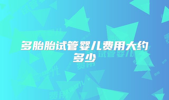 多胎胎试管婴儿费用大约多少