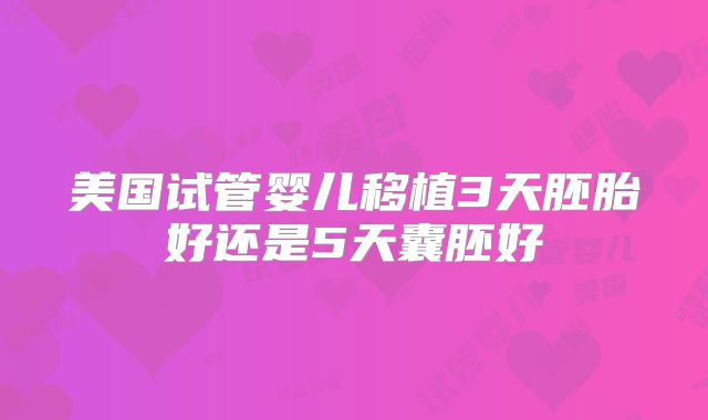 美国试管婴儿移植3天胚胎好还是5天囊胚好