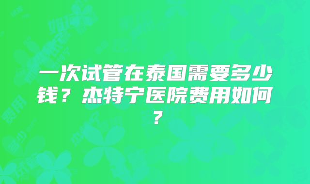 一次试管在泰国需要多少钱?杰特宁医院费用如何?