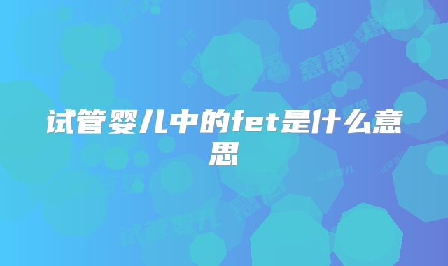 试管婴儿中的fet是什么意思
