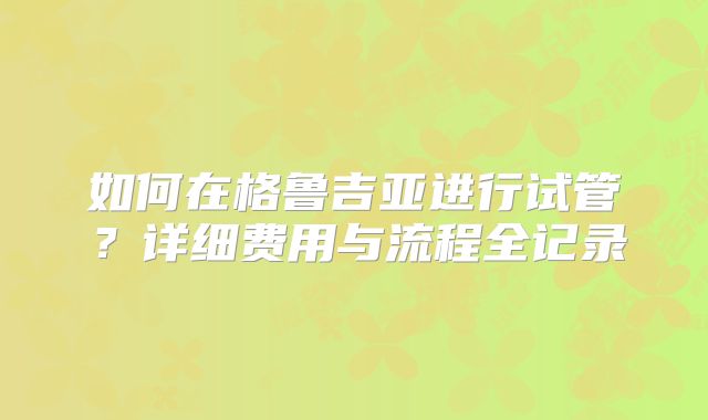 如何在格鲁吉亚进行试管？详细费用与流程全记录