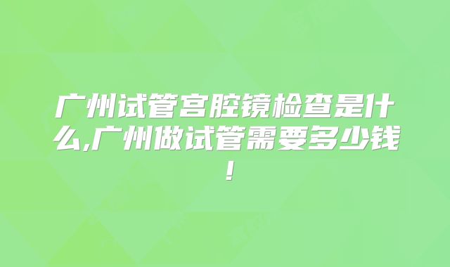 广州试管宫腔镜检查是什么,广州做试管需要多少钱!