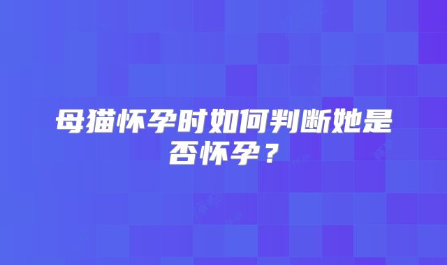 母猫怀孕时如何判断她是否怀孕？