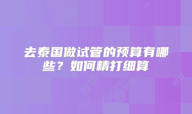去泰国做试管的预算有哪些？如何精打细算