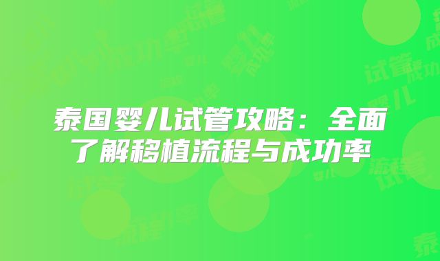 泰国婴儿试管攻略:全面了解移植流程与成功率