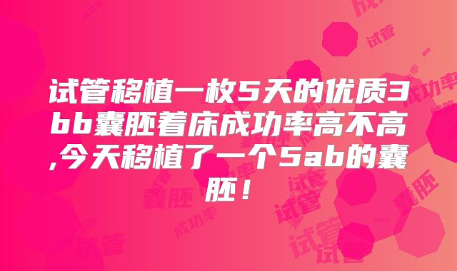 试管移植一枚5天的优质3bb囊胚着床成功率高不高,今天移植了一个5ab的囊胚!