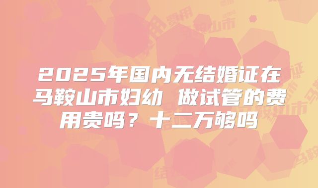 2025年国内无结婚证在马鞍山市妇幼 做试管的费用贵吗？十二万够吗